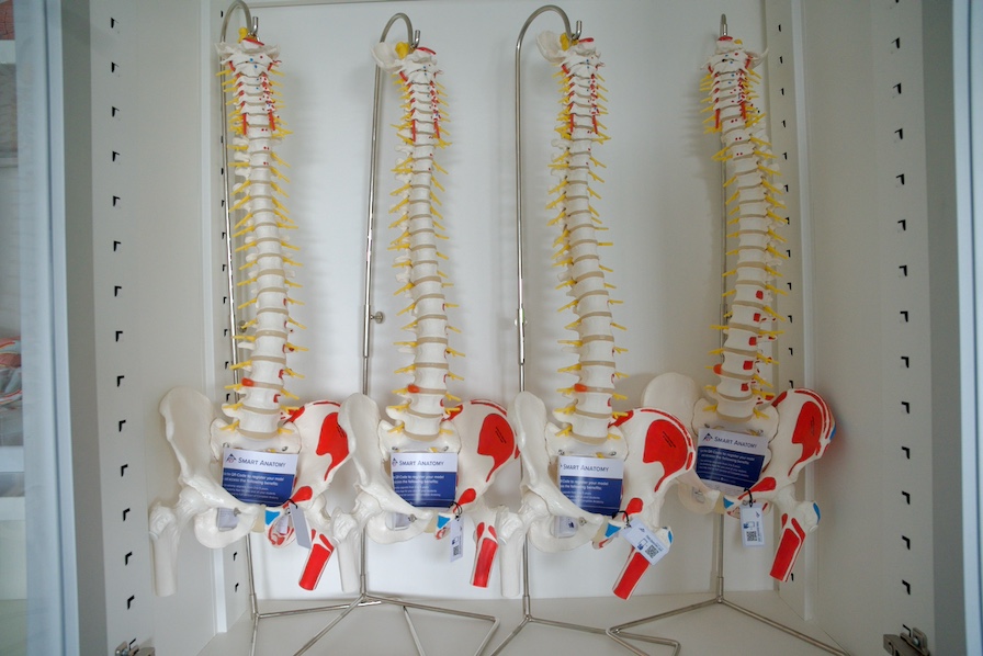 Todo listo en la Universidad de Huelva para el inicio del Grado de Medicina el 12 de septiembre