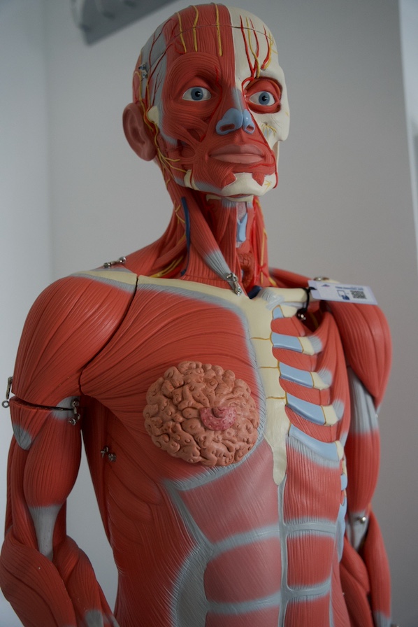 Todo listo en la Universidad de Huelva para el inicio del Grado de Medicina el 12 de septiembre