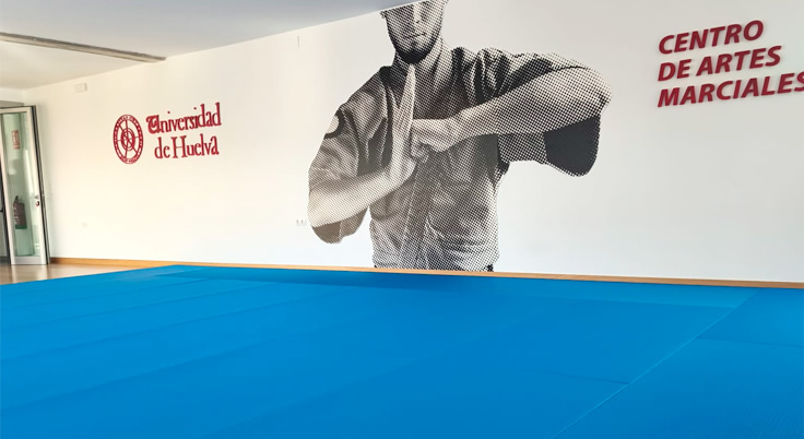 Sala de Artes Marciales