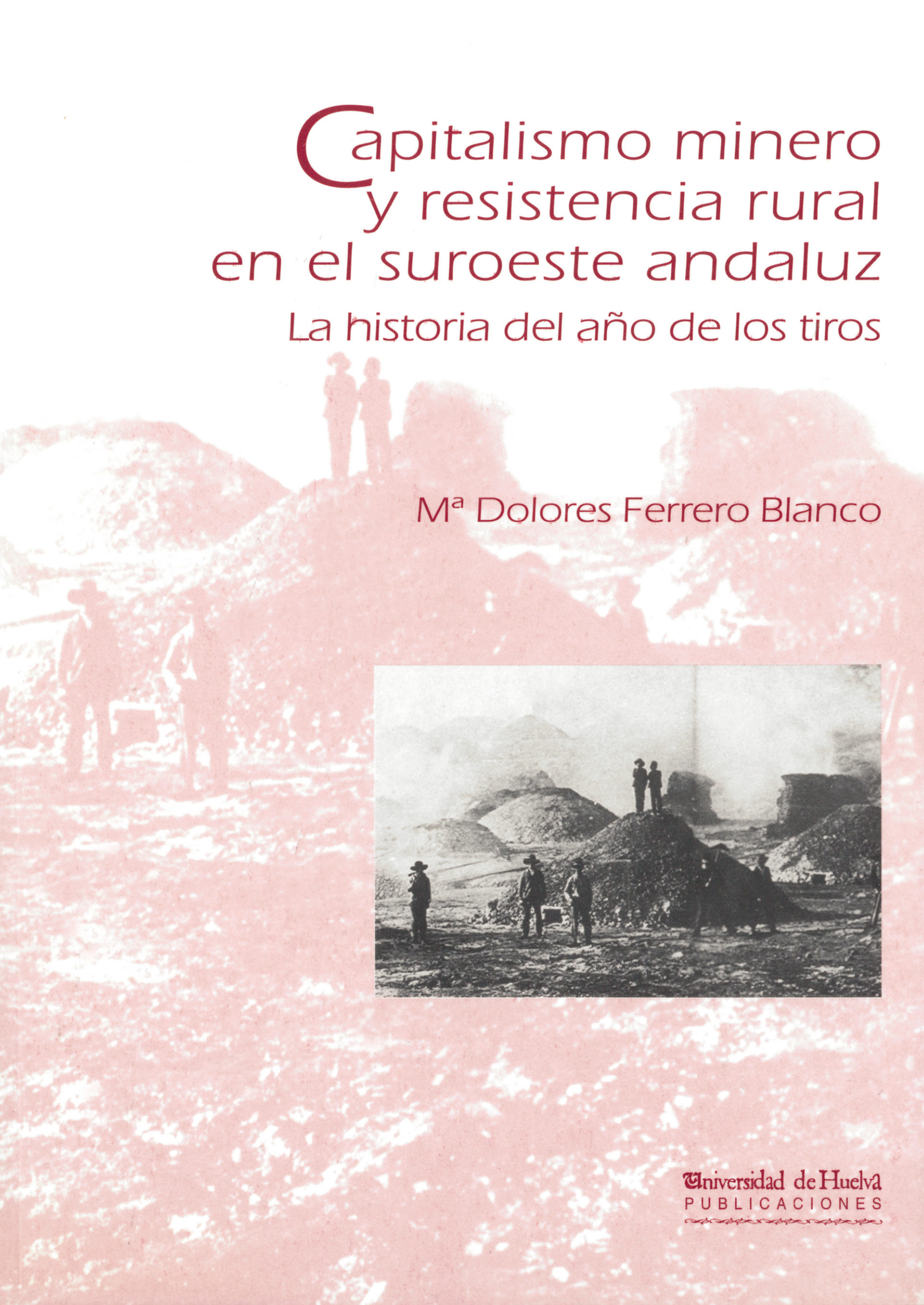 Portada de Capitalismo minero y resistencia rural en el su...
