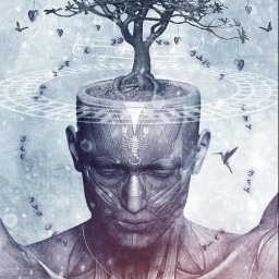 Portada de Libro de Pruebas