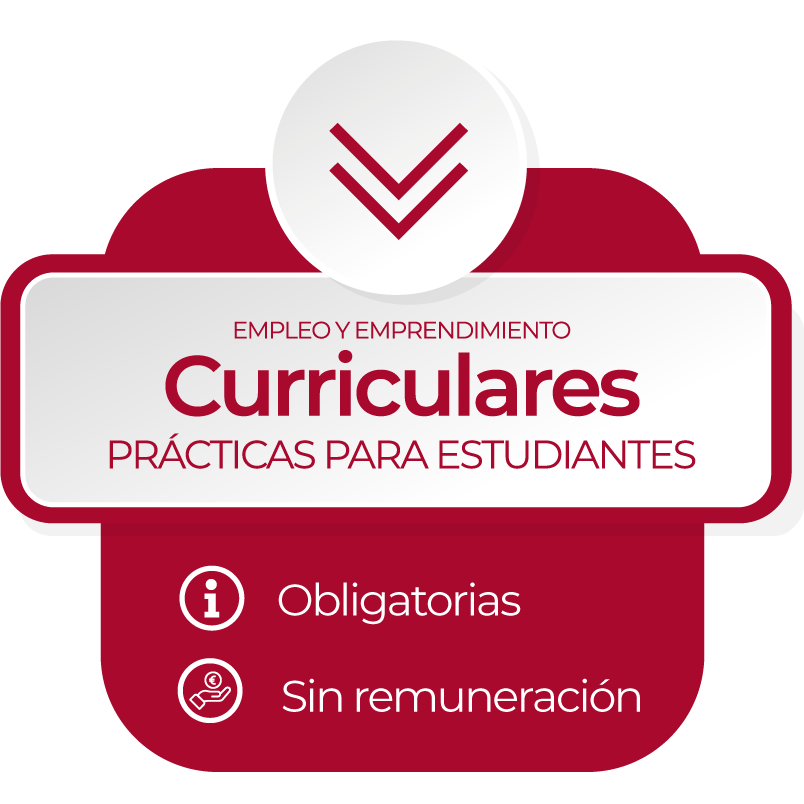 Prácticas Curriculares
