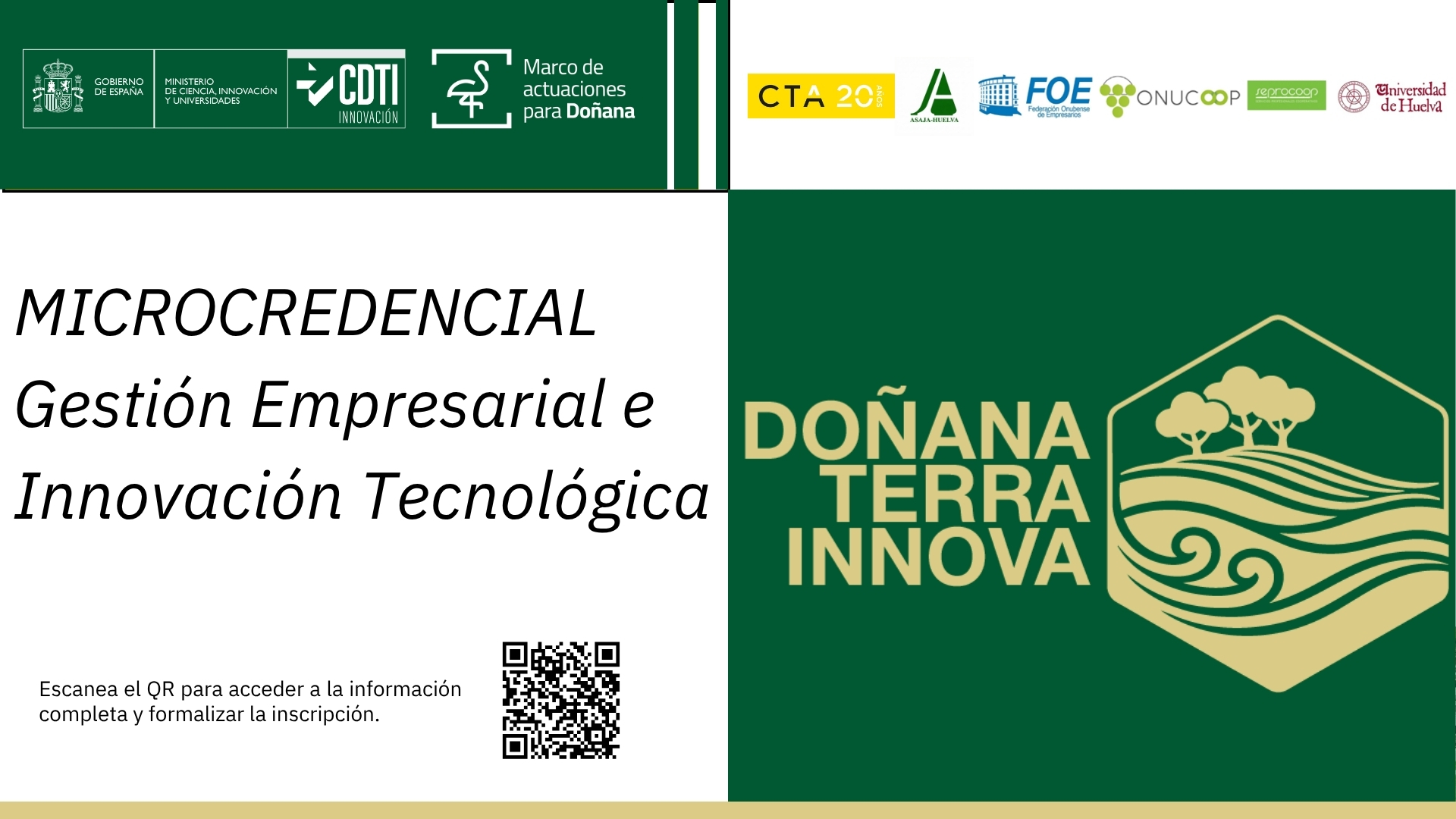 Creatividad_Microcredencial_Doñana.jpg