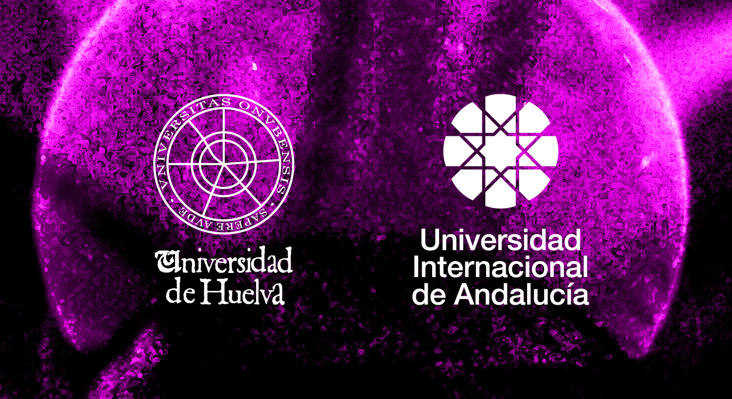 Máster Oficial. Investigación en la Enseñanza y Aprendizaje de las Ciencias Experimentales, Sociales y Matemáticas