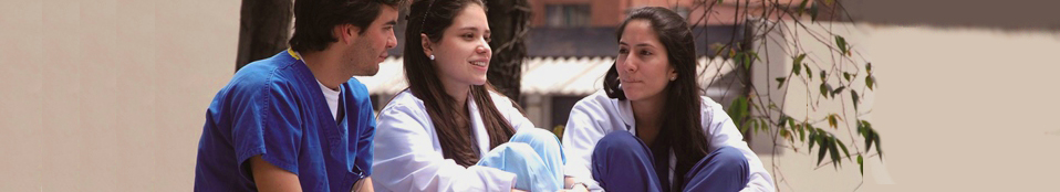 baner06