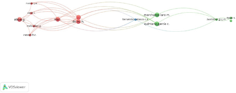Citation analysis cluster A. Generated using VOSviewer