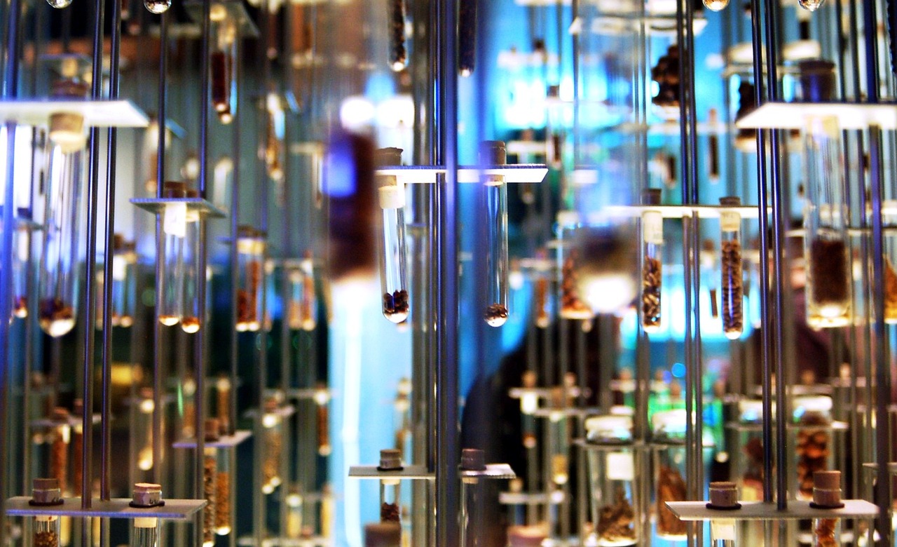 Ayudas a la Investigación en RENSMA 2025