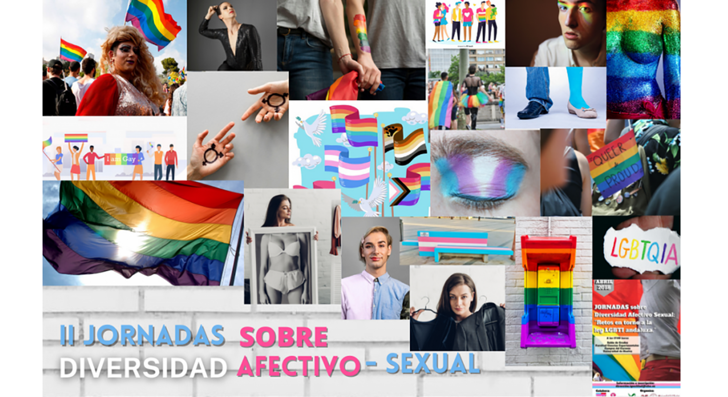 Cartel Jornadas Diversidad