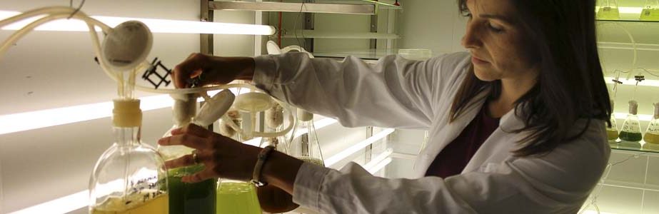 Fotografía microalgas