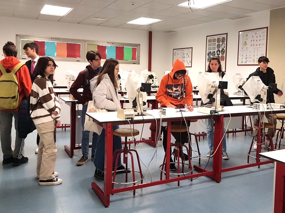 Estudiantes en las olimpiadas