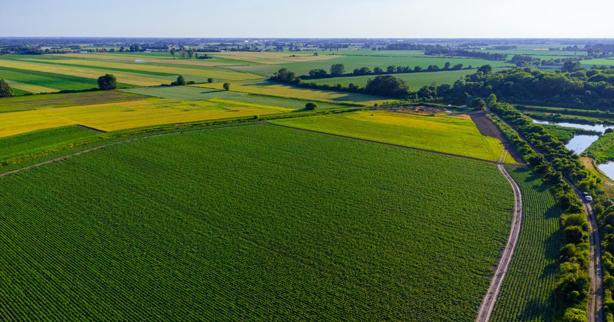 CeiA3 promueve un curso especializado en el aprovechamiento de residuos agroforestales como motor de la economía circular