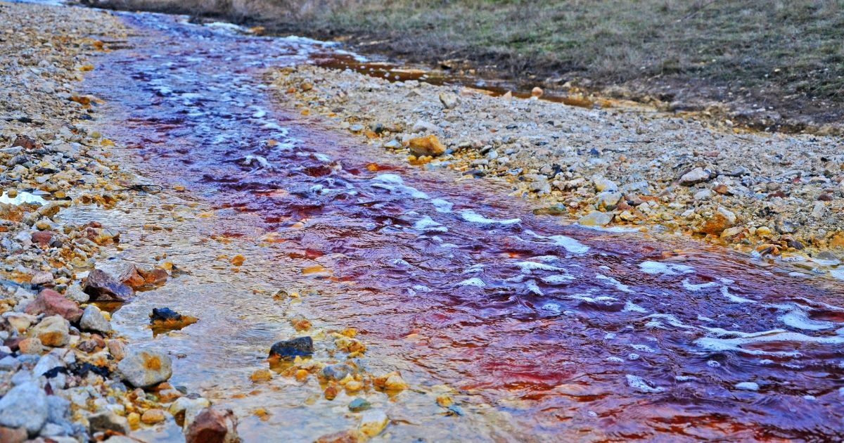La UHU participa en un innovador proyecto de la descontaminación de aguas y revalorización ambiental