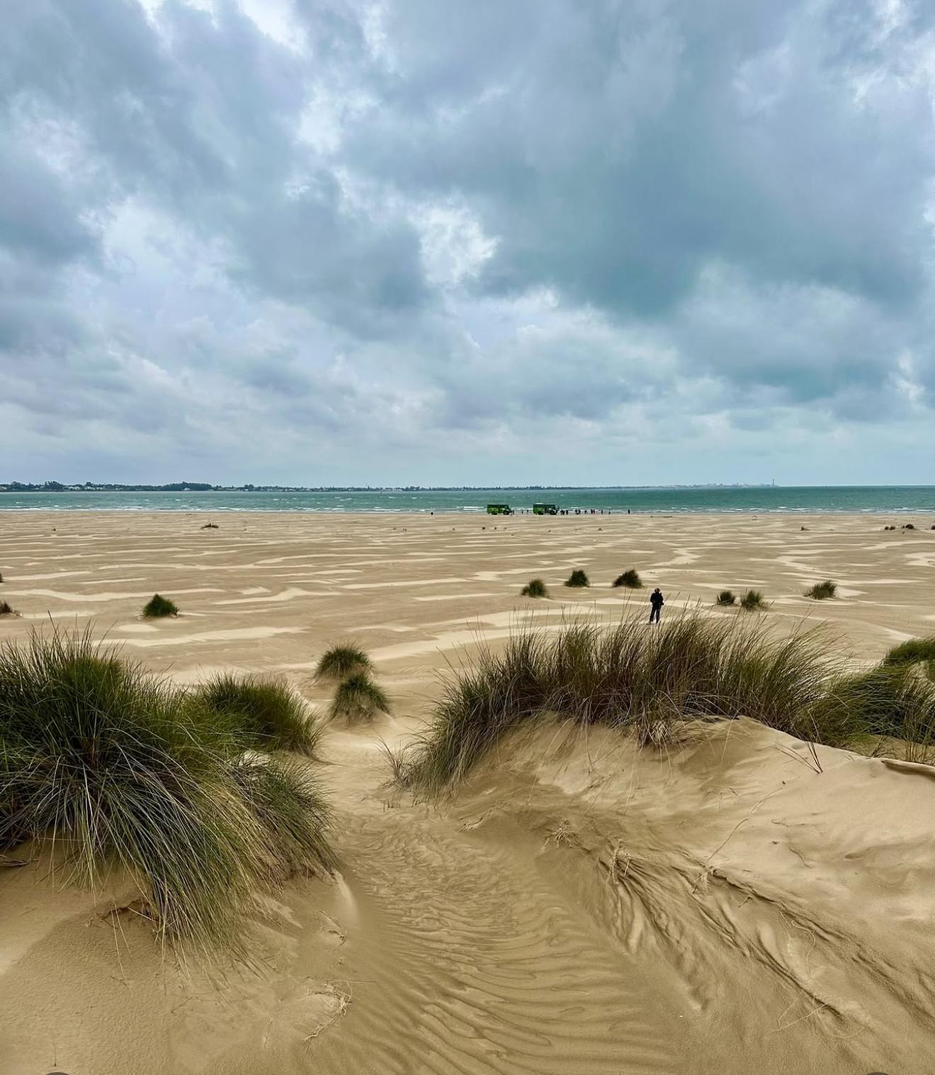 Primer premio: Blažo Popović (Montenegro): `Parque Nacional de Doñana´.