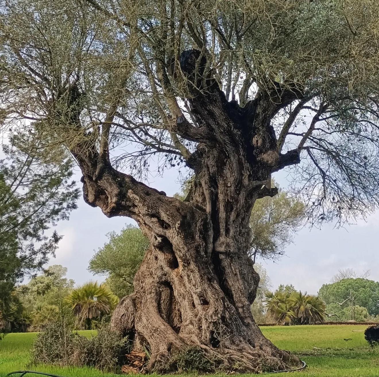 Tercer premio: Federica Benedetti (Italia): `Parque Nacional de Doñana´