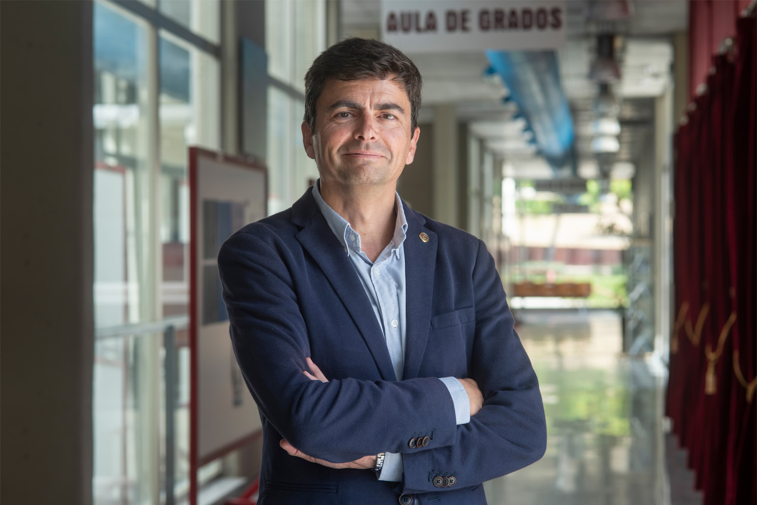 Director de Proyectos