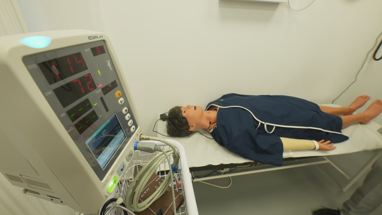 simulacion
